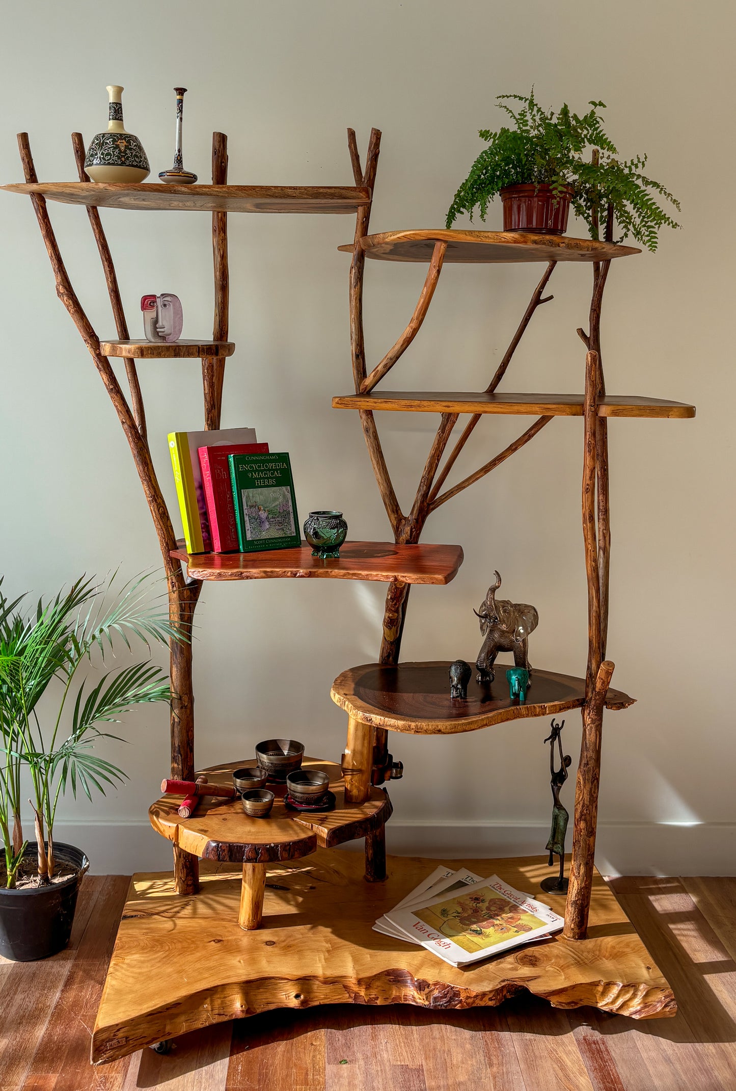 The Jungle Bookshelf