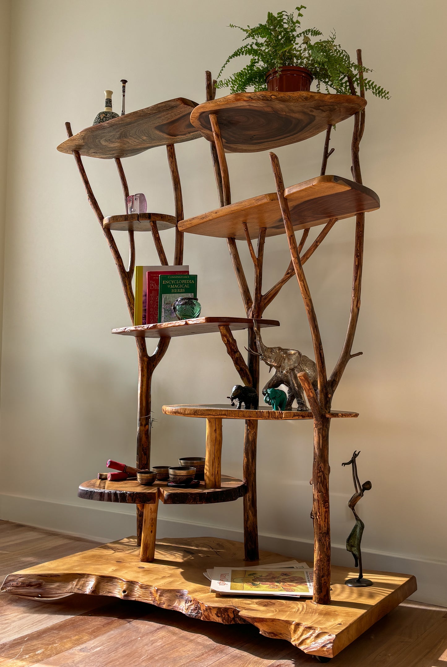 The Jungle Bookshelf