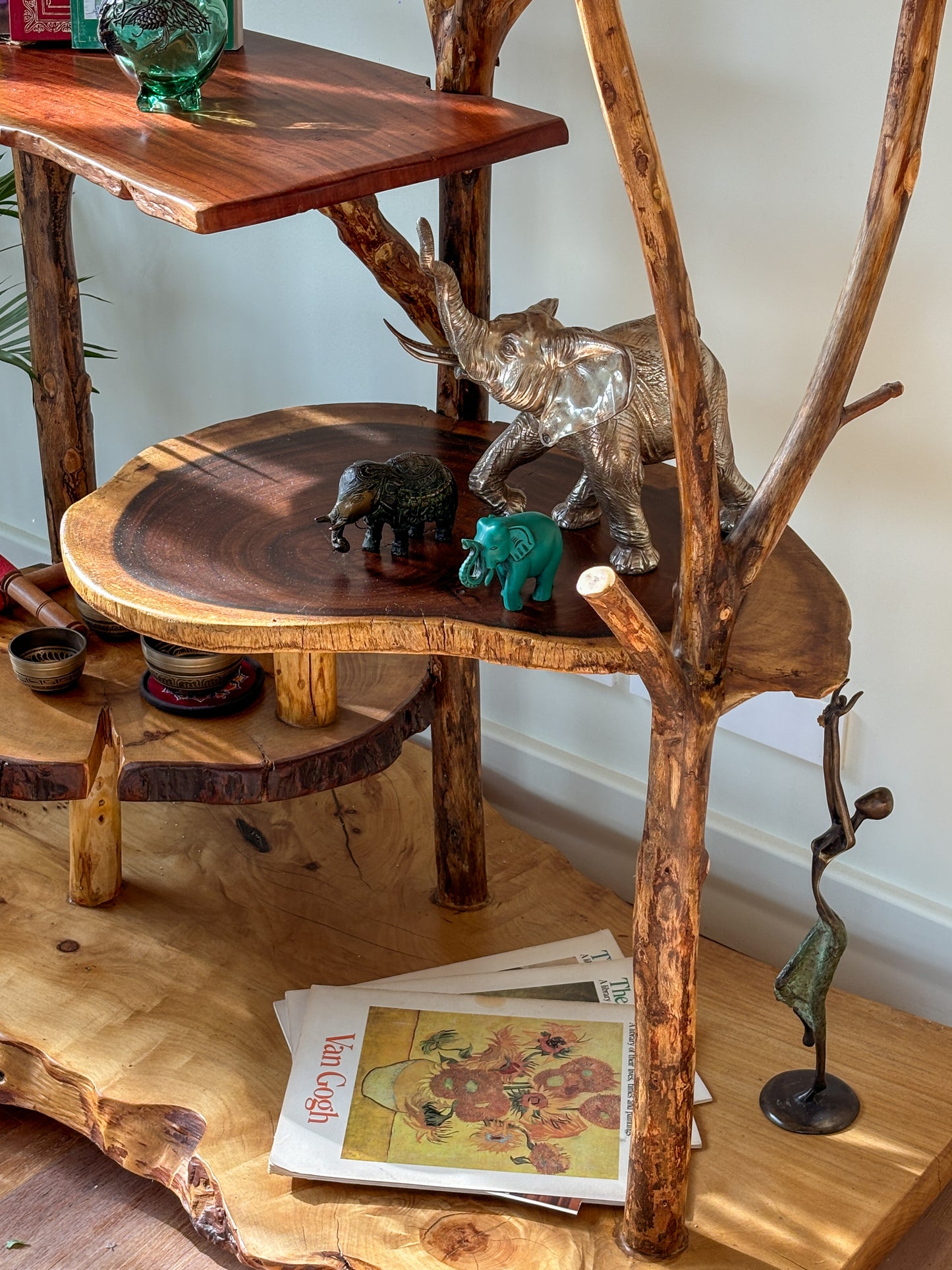 The Jungle Bookshelf