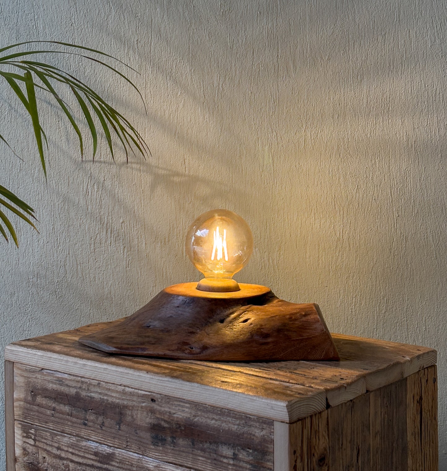 Lumen Root