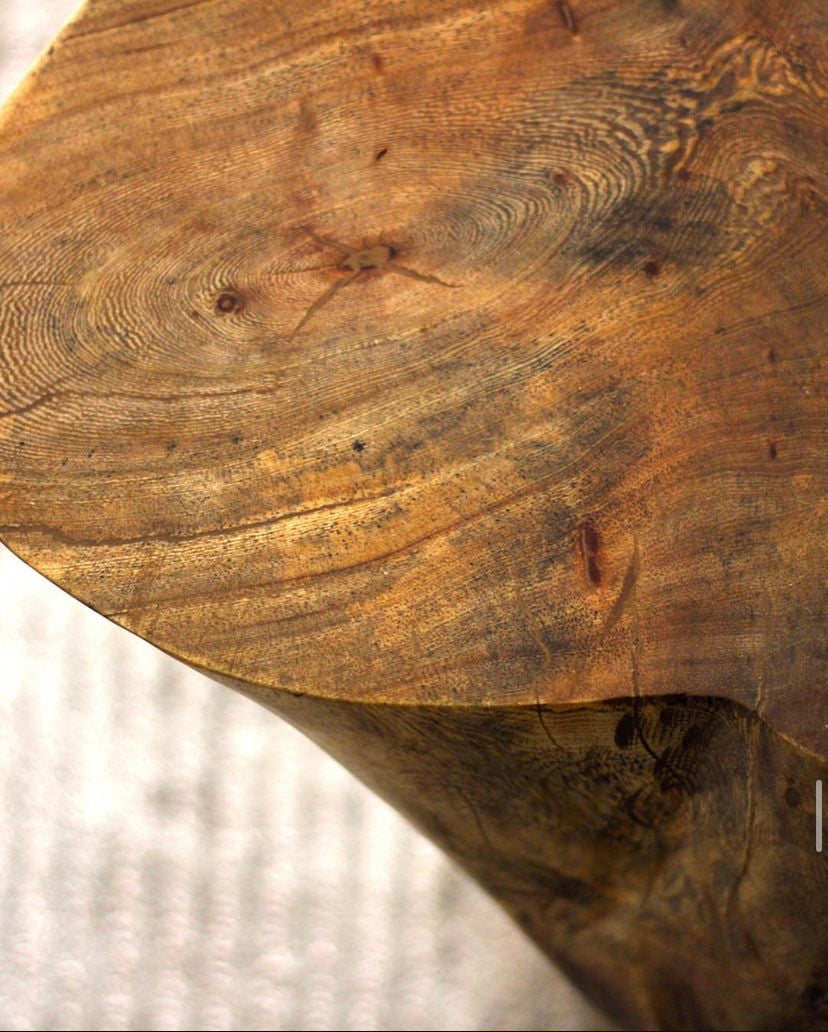 The Trunk Side Table