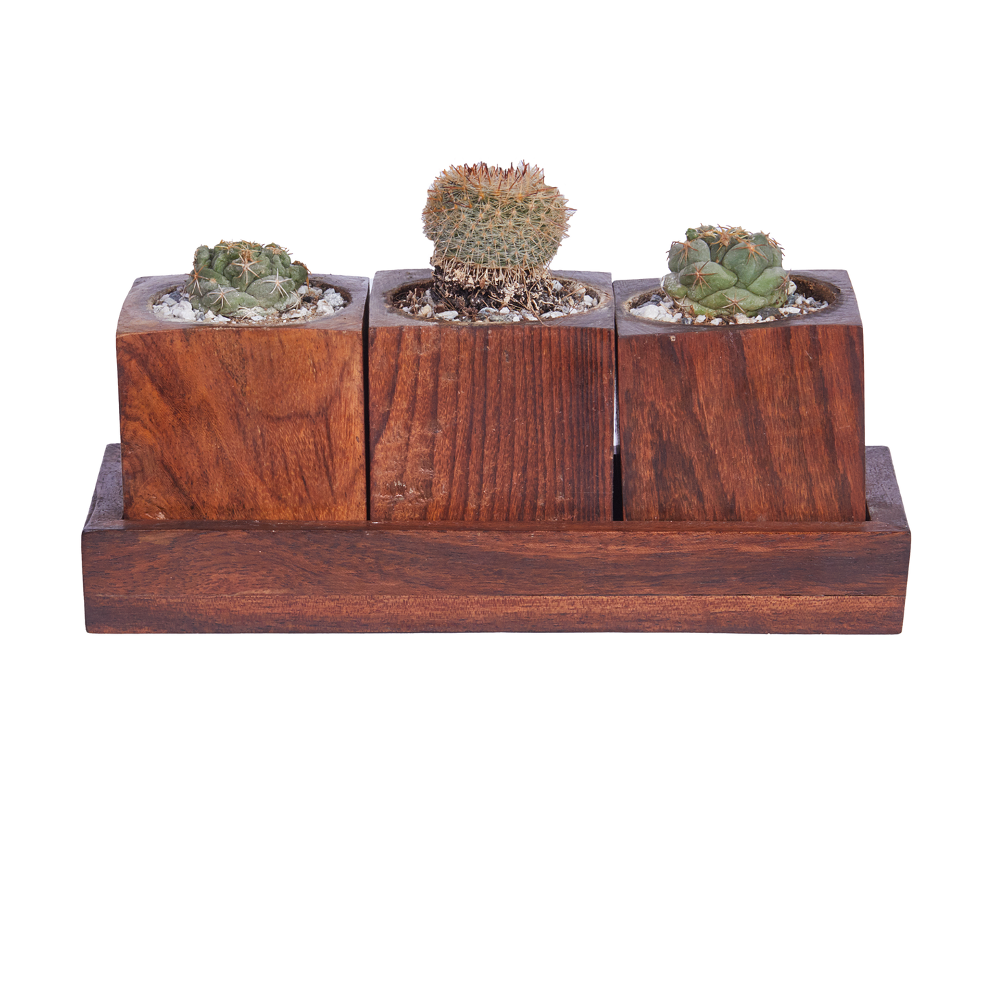 3- Pot Square- Base Planter