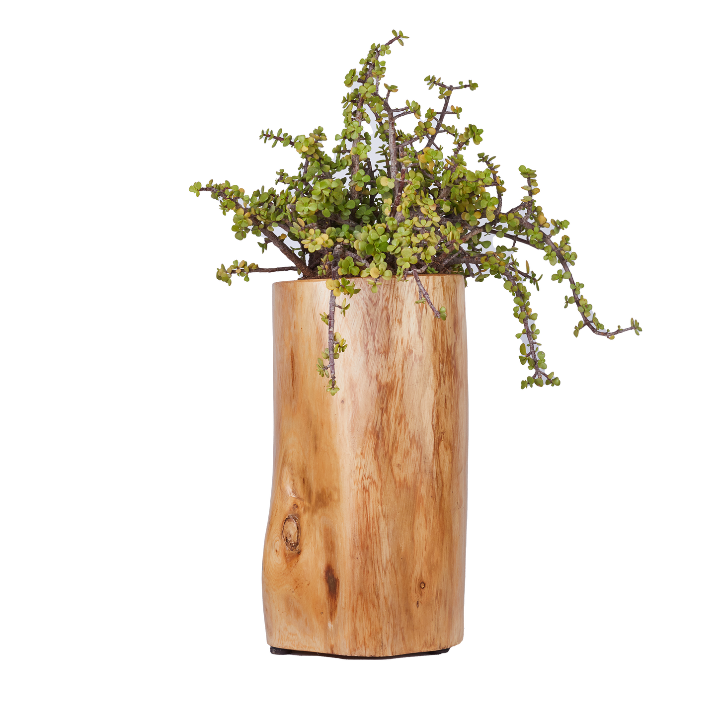 Planter