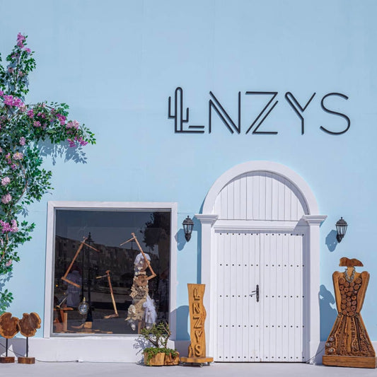 LNZYS Hub