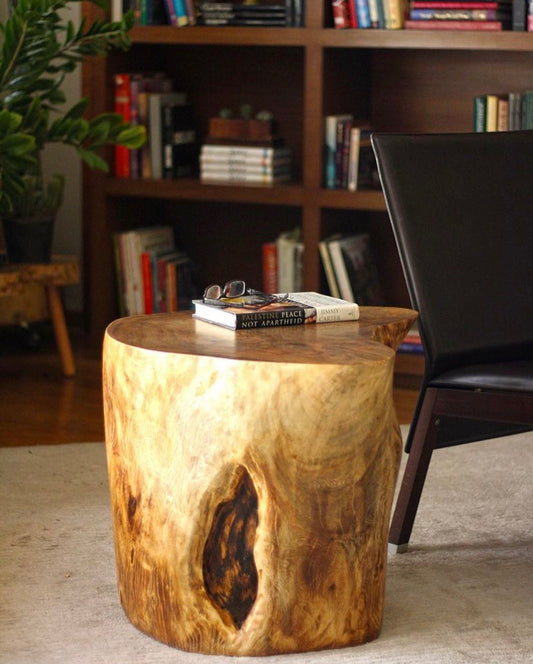 The Trunk Side Table