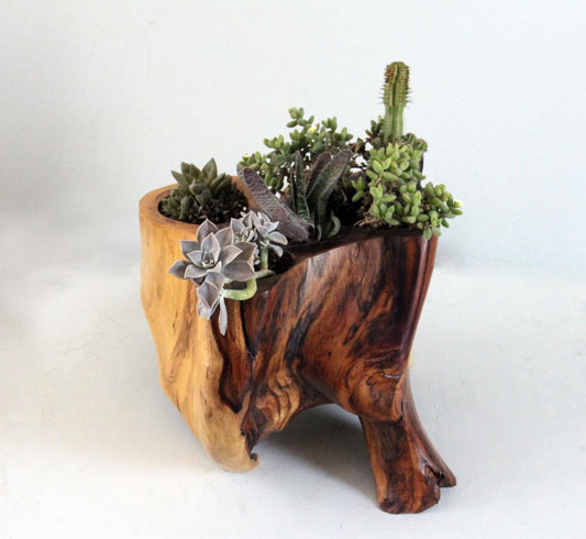 Statement Planter