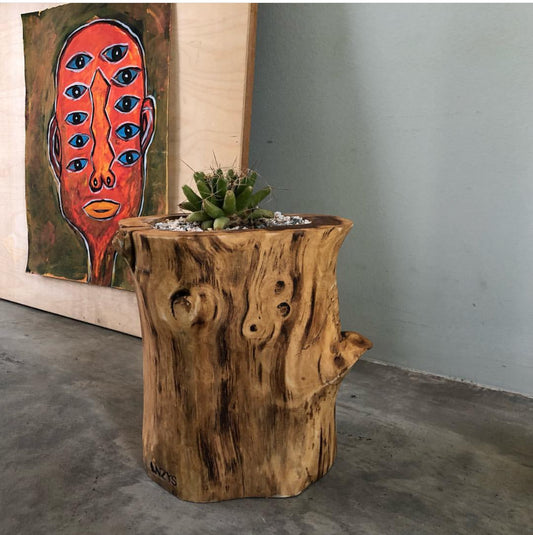 Tree Trunk Planter