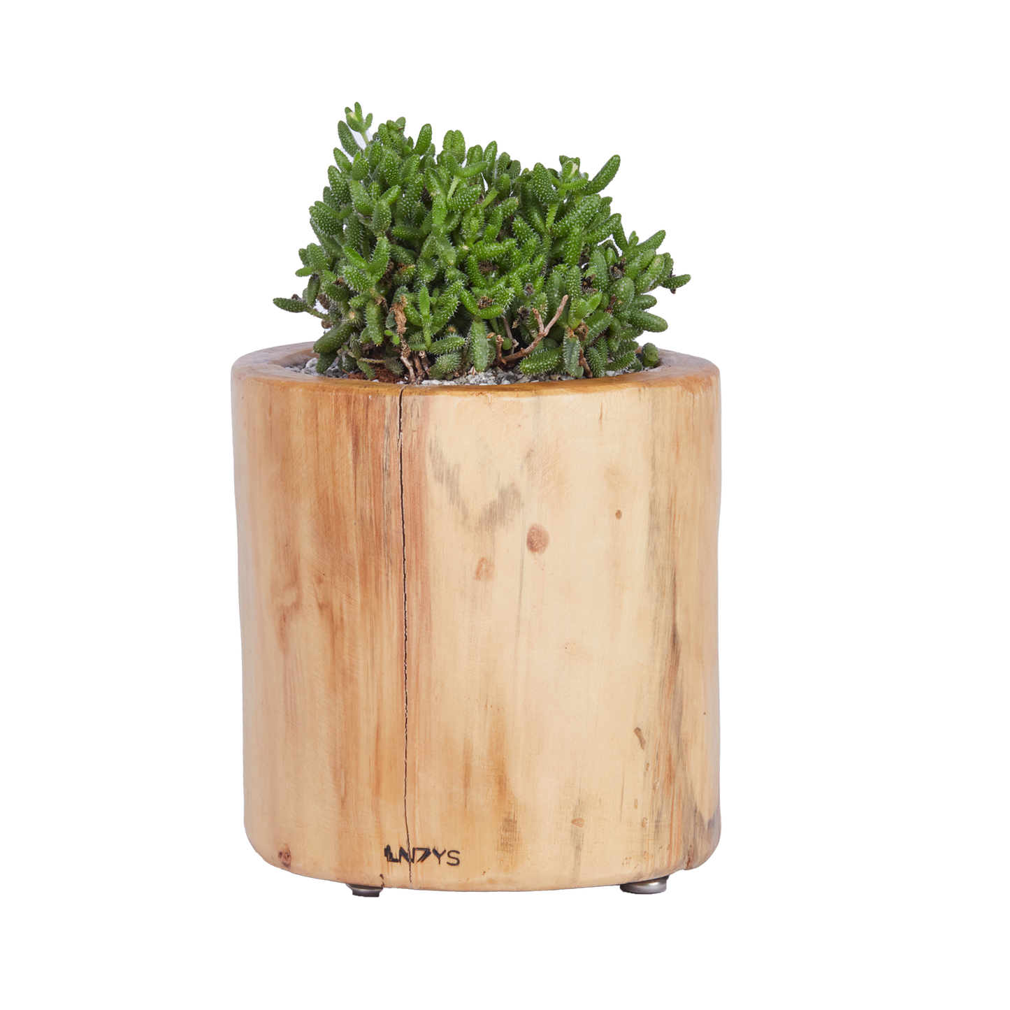 Long Round- Base Planter with Stub Legs