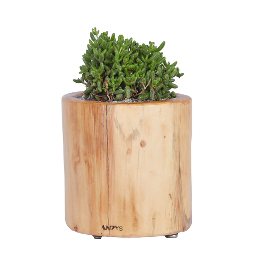 Long Round- Base Planter with Stub Legs