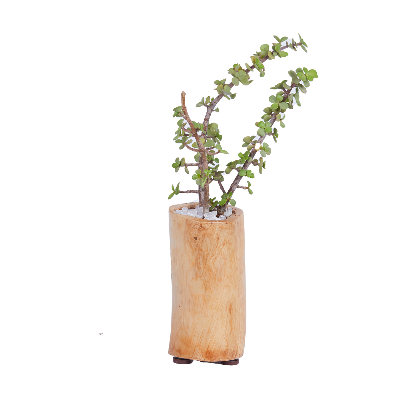 Long, Thin Round- Base Planter