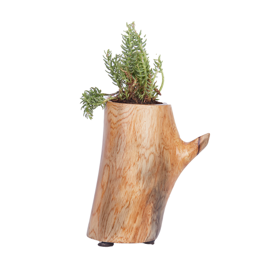 Water Jug Planter